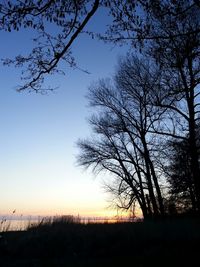 Silhouette tree against clear sky during sunset