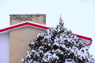 Low angle view of snow covered tree by building against sky