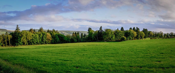 Panoramic view of golf course by trees against cloudy sky