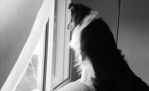 Close-up of woman on window