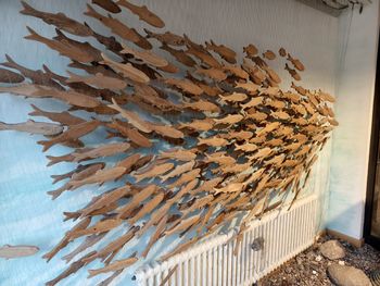 wood