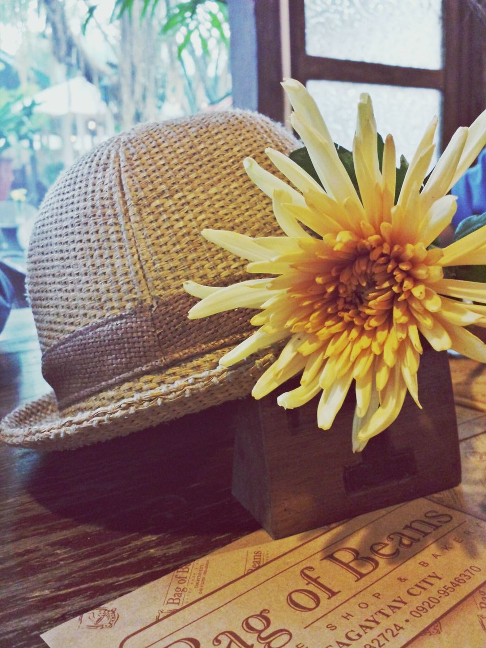 flower, indoors, yellow, close-up, focus on foreground, petal, freshness, table, flower head, day, fragility, no people, potted plant, high angle view, sunlight, home interior, plant, growth, nature, selective focus