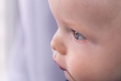 Close-up portrait of cute boy