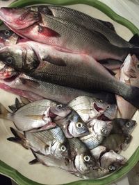 Close-up of fish for sale