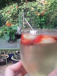 Close-up of beer glass on table