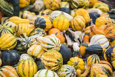 Full frame shot of pumpkins for sale at market stall