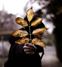 Close-up of hand holding leaf against sky