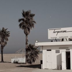 Low angle view of palm tree and building against sky