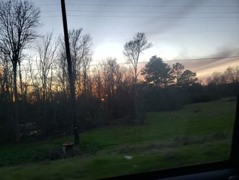 Silhouette trees on field against sky during sunset