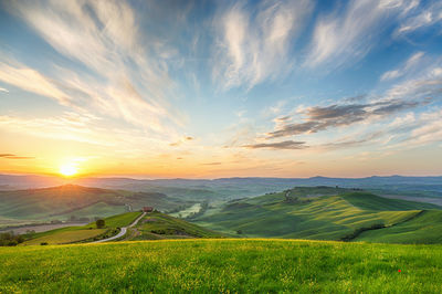 Scenic view of field against sky during sunset