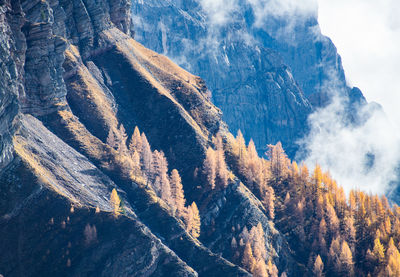 Panoramic view of snowcapped mountains against sky