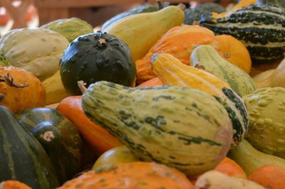 Close-up of pumpkins for sale at market stall