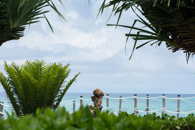 Plants by sea against sky