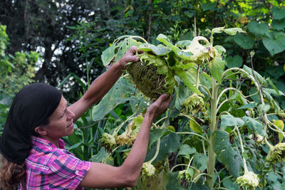 Side view of woman holding fresh vegetables in farm