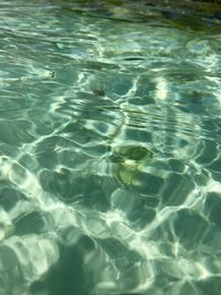 High angle view of swimming pool