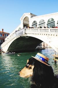 View of bridge over canal