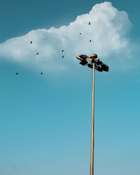 Low angle view of birds on the sky