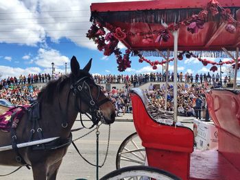 View of horse cart against sky