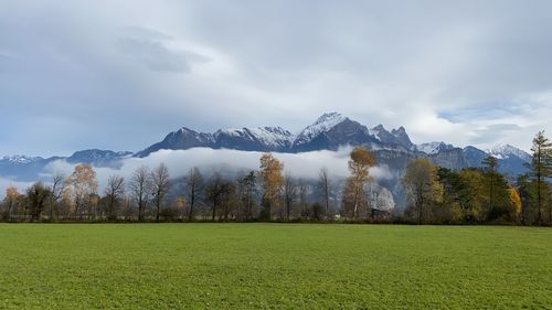 Scenic view of field against sky