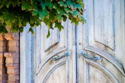 Close-up of old wooden door of building