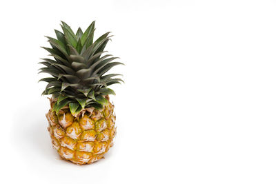 Close-up of fruit against white background