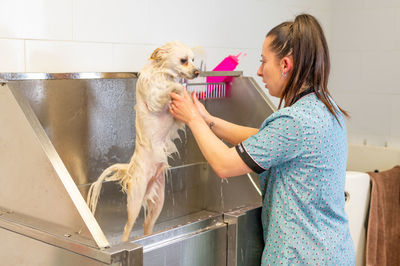 Animal groomer cleaning dog at salon