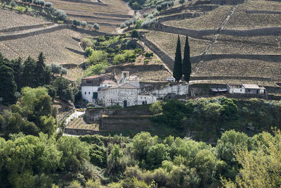 High angle view of trees and buildings