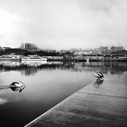 River with buildings in background