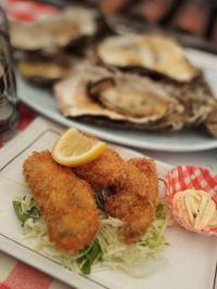 Close-up of food served in plate