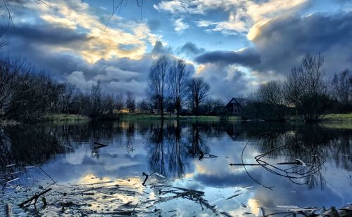 Reflection of trees in lake against sky