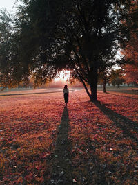 Rear view of woman standing on red grass during autumn. sunset light