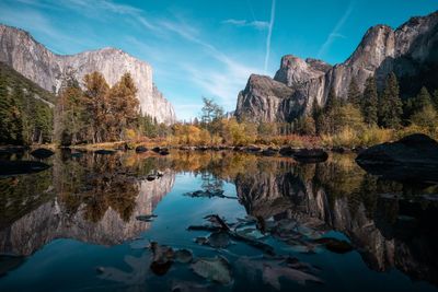 Reflection of trees in lake at forest