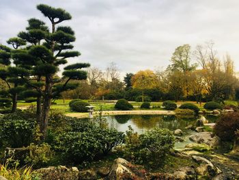 Scenic view of lake by trees against sky