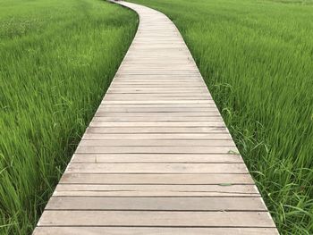 View of boardwalk on grassy field