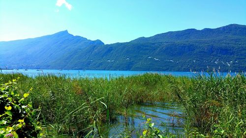 Scenic view of lake against sky