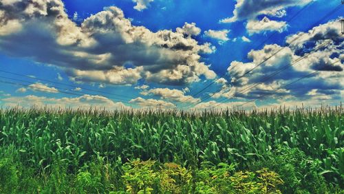 Scenic view of field against cloudy sky