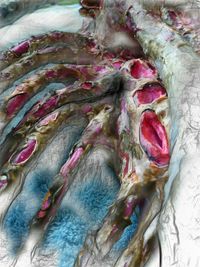 Full frame shot of multi colored wall