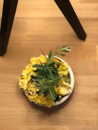 High angle view of potted plant on table