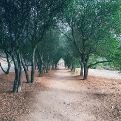 Man amidst trees against sky