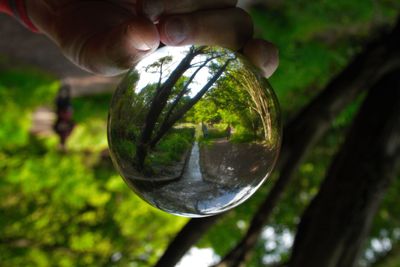 Close-up of hand holding crystal ball with reflection of trees, stream and 1 person in dulwich park