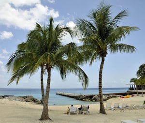 Views of the beaches of cozumel, mexico