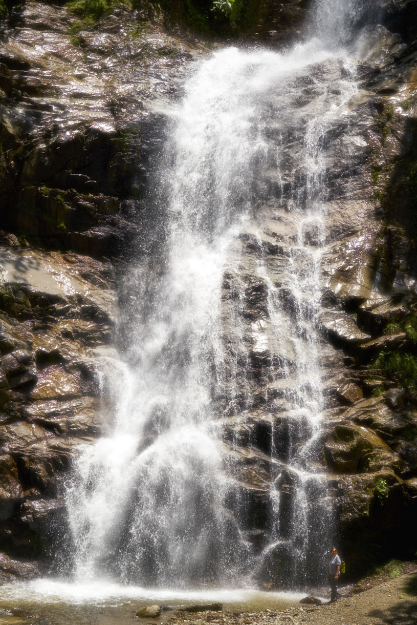 WATERFALL IN FOREST