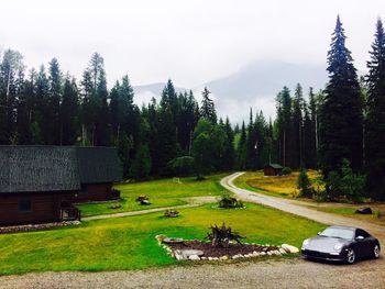 Panoramic shot of road amidst trees against sky