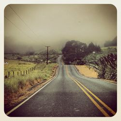 Empty road along trees