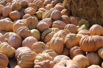 Full frame shot of pumpkins