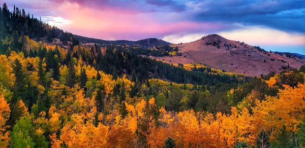 Scenic view of mountains against sky during autumn