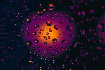 Close-up of water drops on glass window