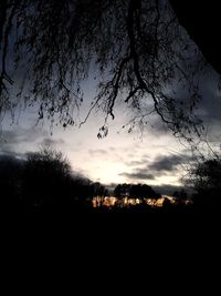 Silhouette trees against sky during sunset