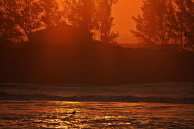 Scenic view of forest against orange sky