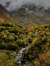 Autumn colors in the middle of the swiss alps